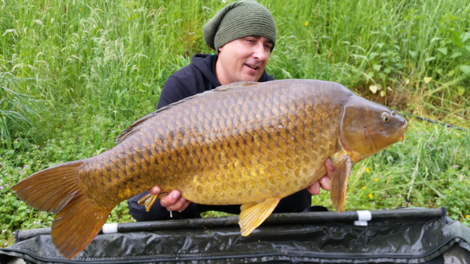 regiune Rhône-Alpes 12 mai 2016 - 20160512124639.jpg